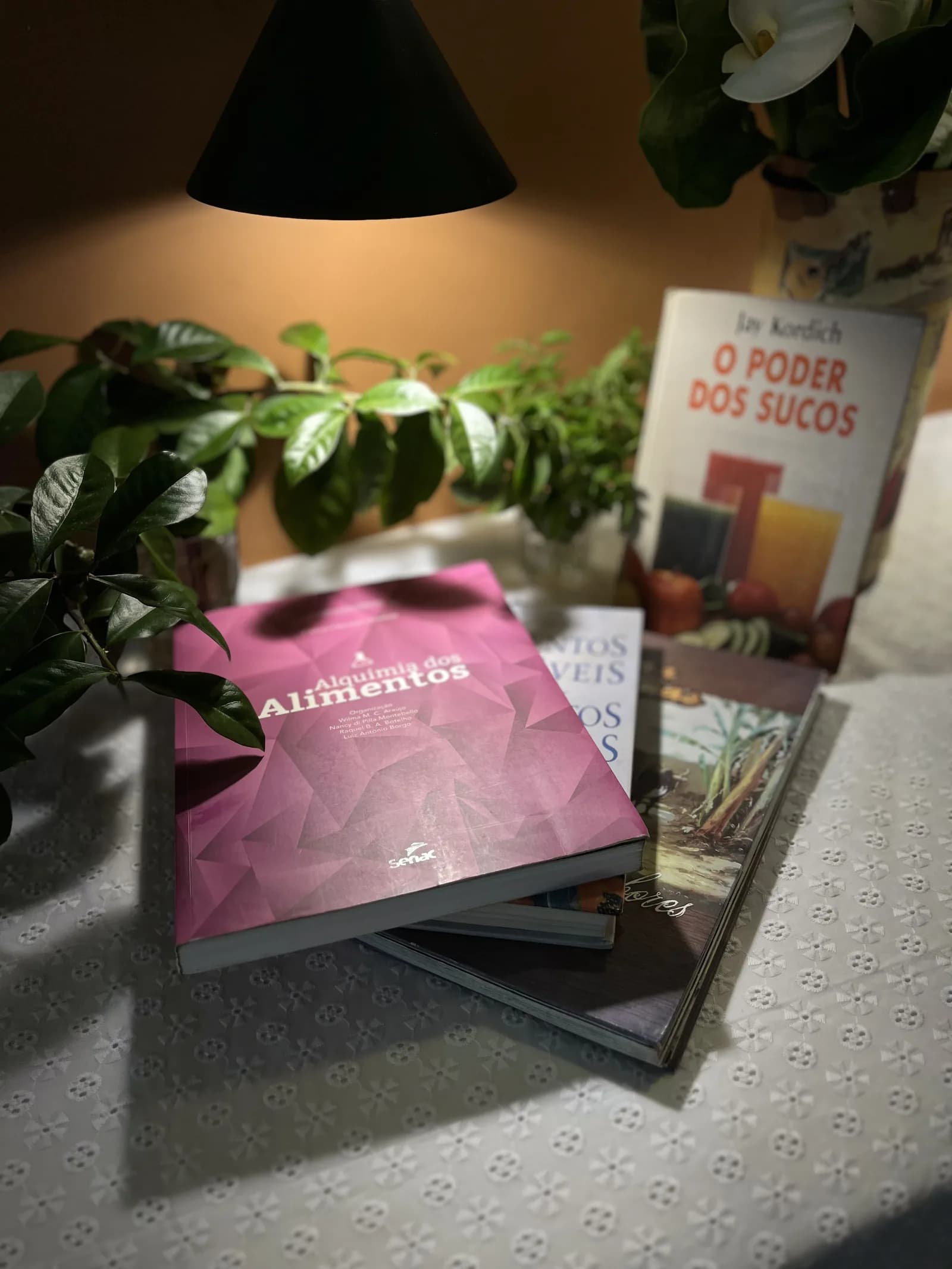 Livros de gastronomia na mesa do Bistrô Chef Lau em Muzambinho/MG — cozinha como laboratório — foto real